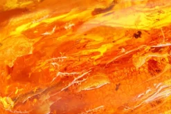 Amber Musk Scented Candle