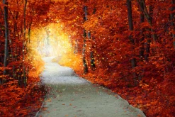 Autumn Leaves Scented Candle