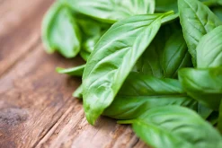 Basil - Reed Diffuser
