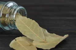 Bay Leaf - Soy Tarts