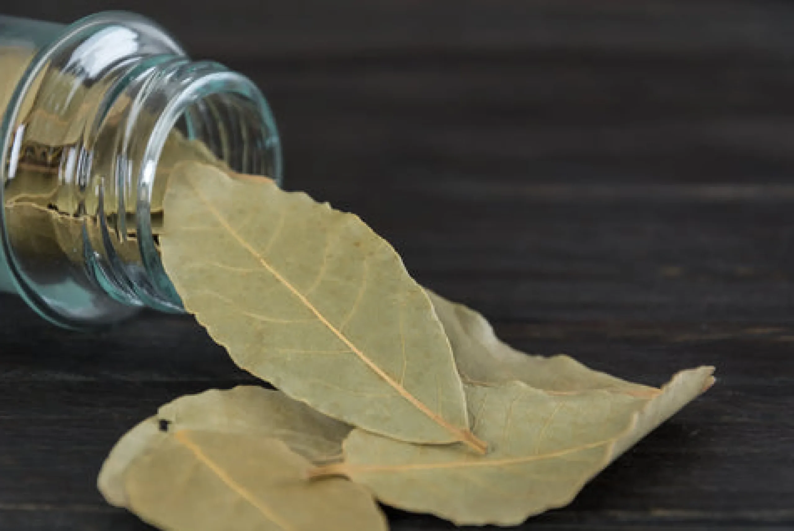 Bay Leaf Scented Candle