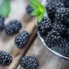Blackberry - Soy Tarts