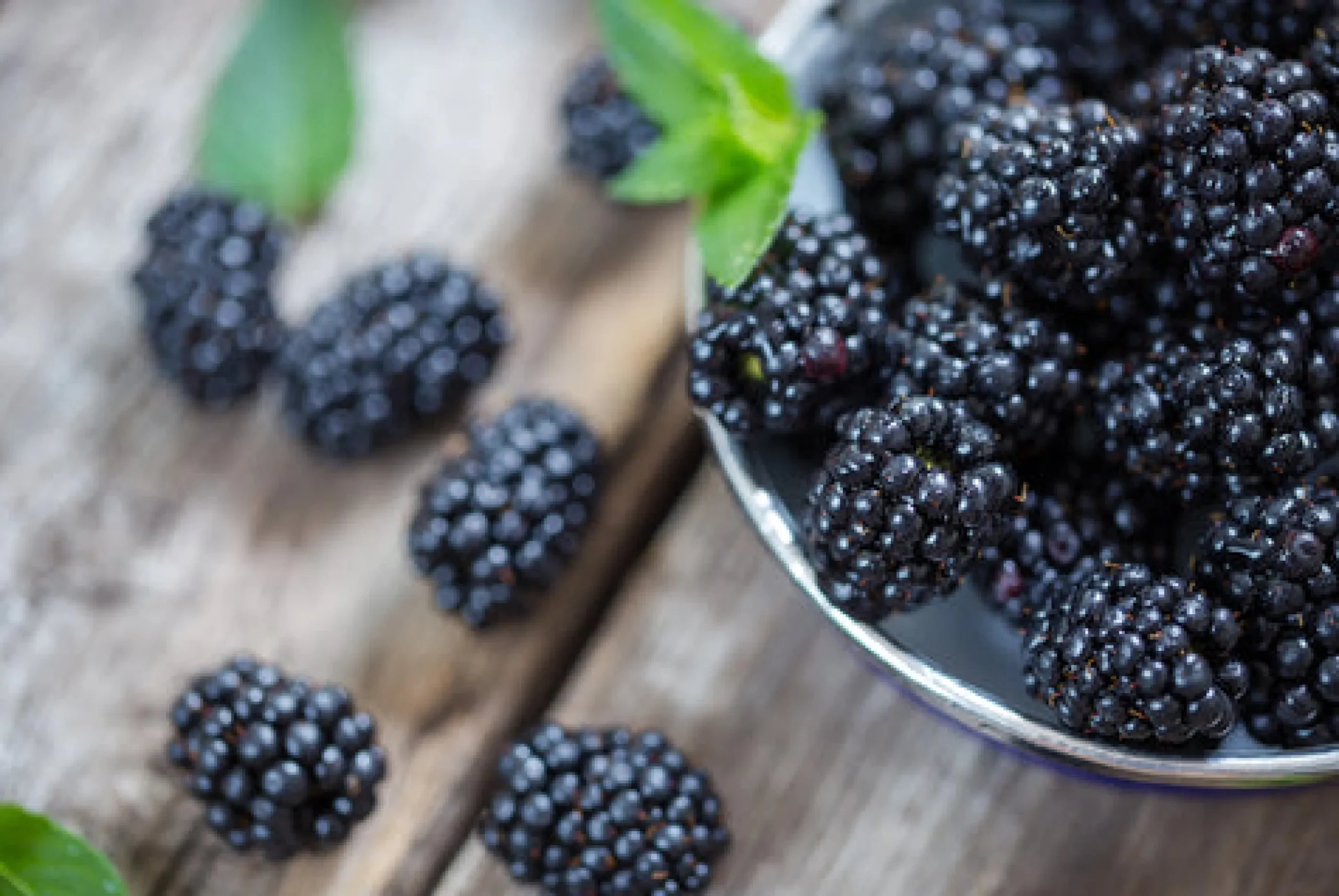 Blackberry Scented Candle