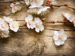 Cherry Blossom - Reed Diffuser
