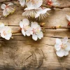 Cherry Blossom - Soy Tarts
