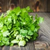 Cilantro - Soy Tarts