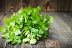 Cilantro - Soy Tarts