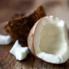Coconut - Soy Tarts