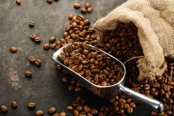 Coffee - Soy Tarts