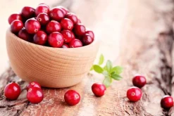 Cranberry - Soy Tarts