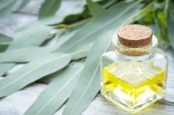 Eucalyptus - Reed Diffuser