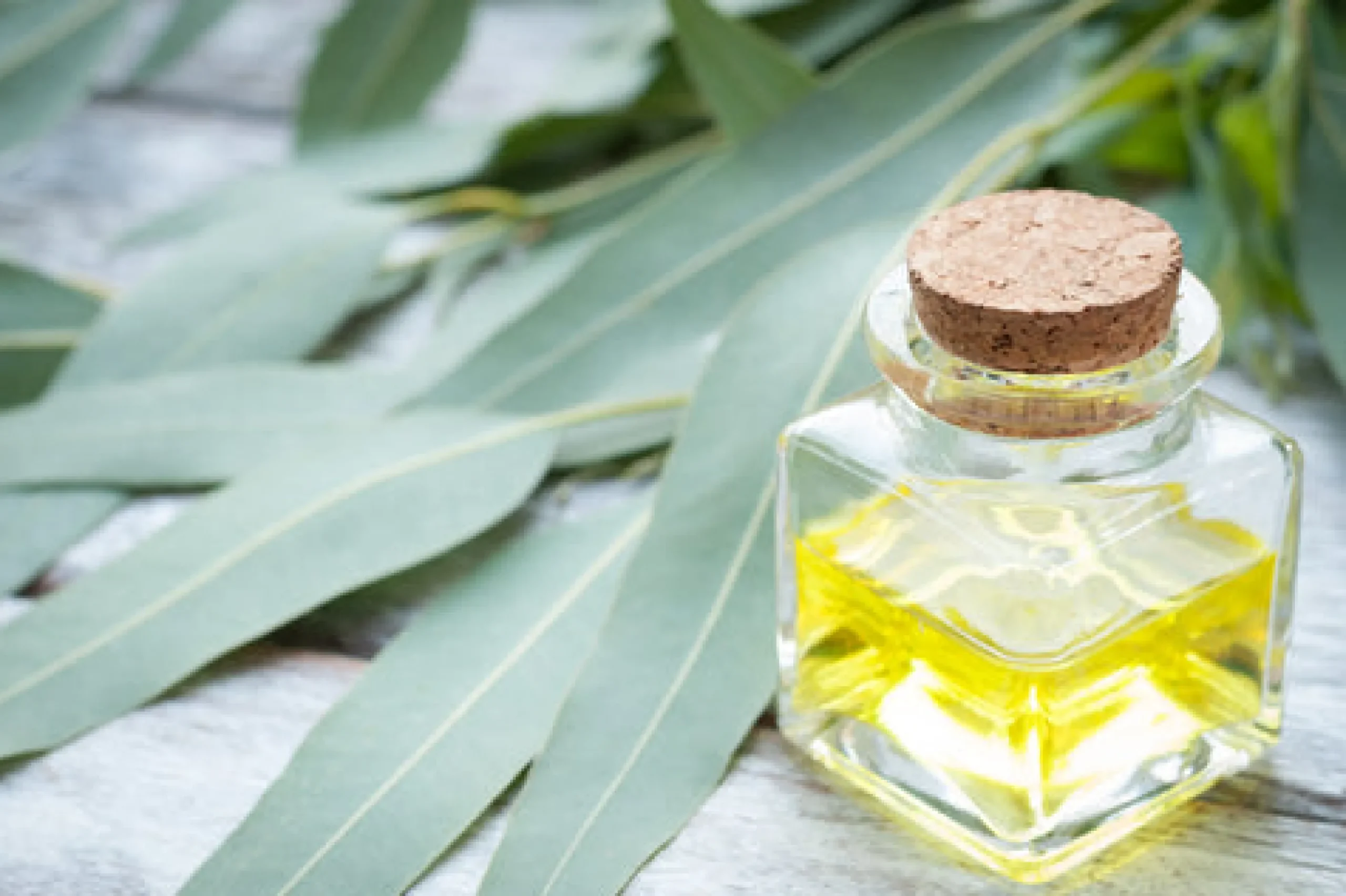 Eucalyptus - Reed Diffuser