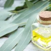 Eucalyptus - Soy Tarts