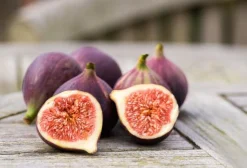 Fig - Soy Tarts