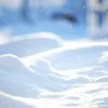 First Snow - Soy Tarts