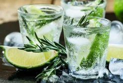 Gin & Tonic - Soy Tarts