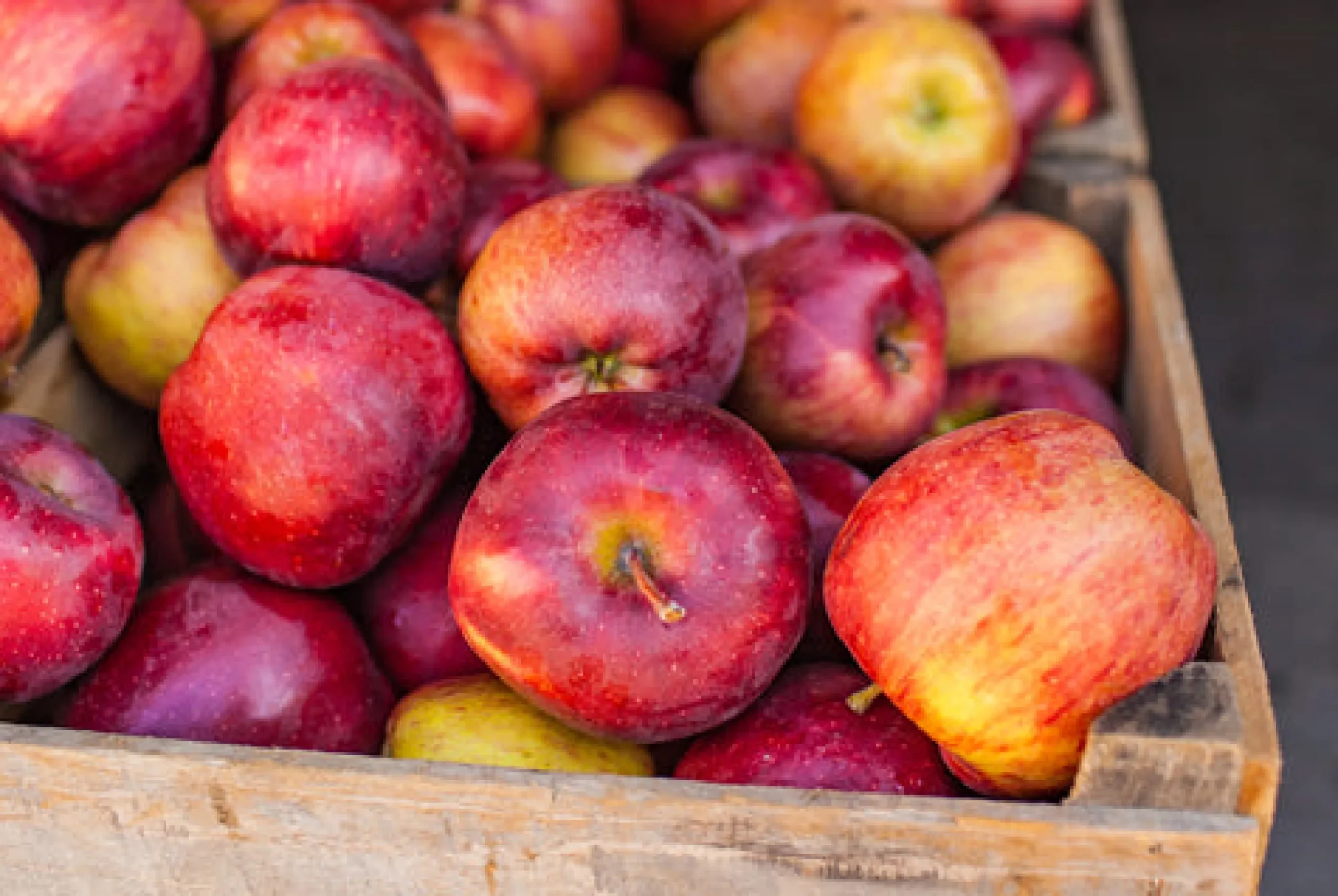 Honeycrisp Apple Scented Candle