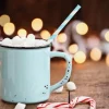 Hot Cocoa - Soy Tarts