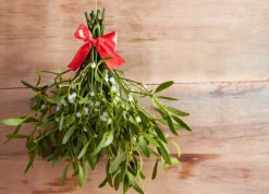 Mistletoe Scented Candle