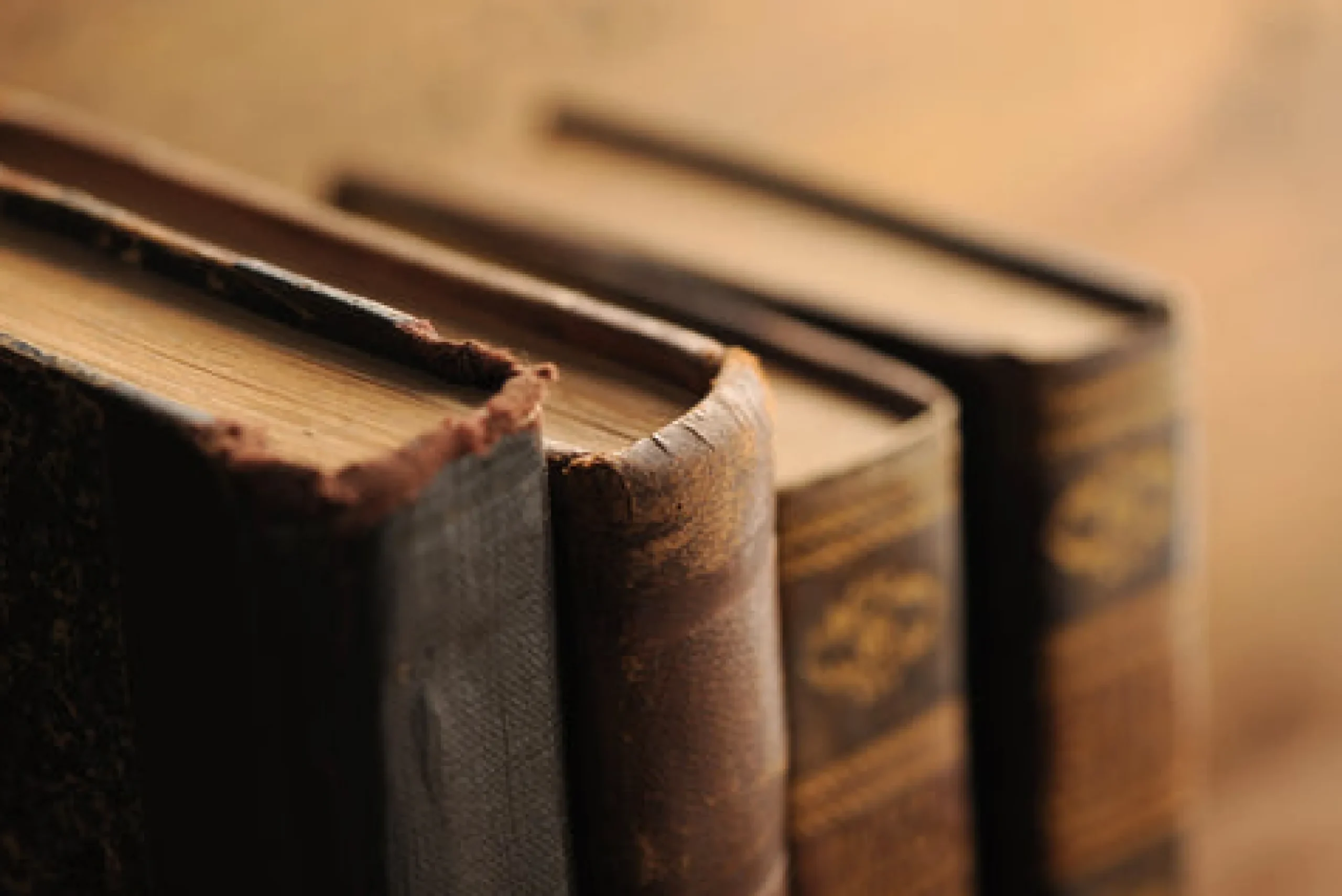 Old Books - Reed Diffuser