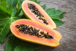 Papaya - Reed Diffuser
