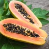 Papaya - Soy Tarts
