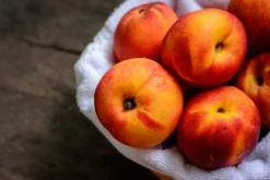 Peach - Soy Tarts