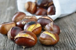 Roasted Chestnut - Soy Tarts