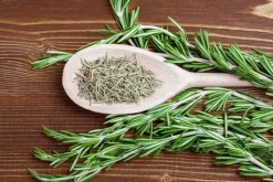 Rosemary - Soy Tarts