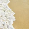 Sea Foam - Soy Tarts