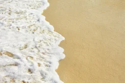 Sea Foam Scented Candle