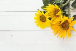 Sunflower - Reed Diffuser