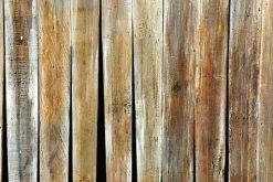 Teakwood - Soy Tarts