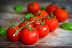 Tomato Leaf - Soy Tarts