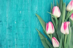 Tulip Scented Candle