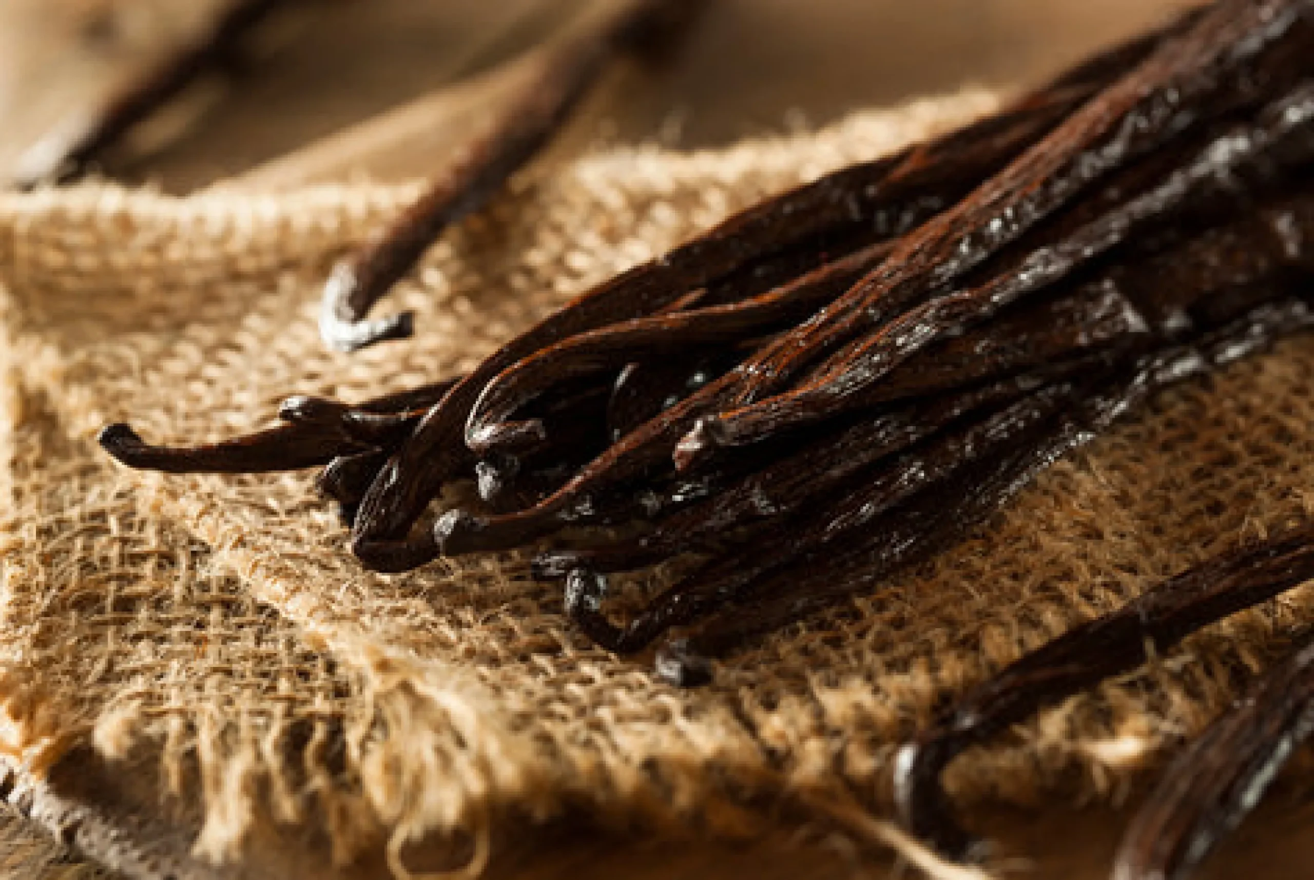 Vanilla Bean - Reed Diffuser