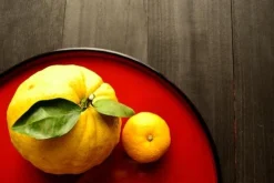 Yuzu - Soy Tarts